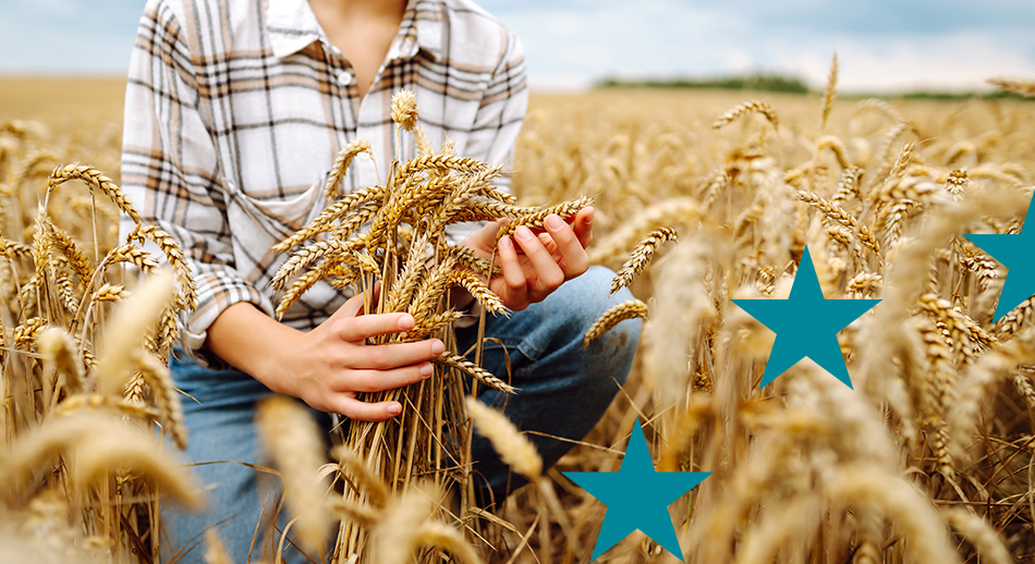 Agricoltore in campo di grano, simbolo delle opportunità offerte dai fondi rurali europei per lo sviluppo agricolo e sostenibile